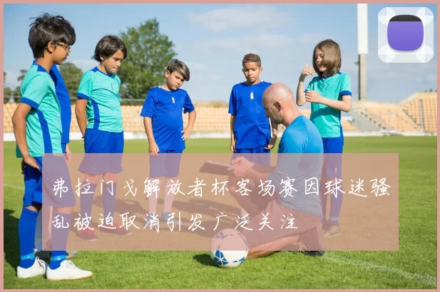 弗拉门戈解放者杯客场赛因球迷骚乱被迫取消引发广泛关注